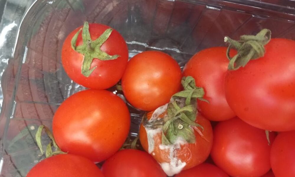 Consilierea ANPC a fost degeaba: Sute de firme ”calcă din nou pe bec”