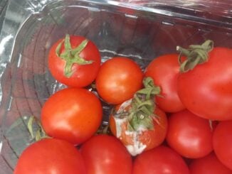 Consilierea ANPC a fost degeaba: Sute de firme ”calcă din nou pe bec”