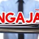 salariu mii de euro curier in romania