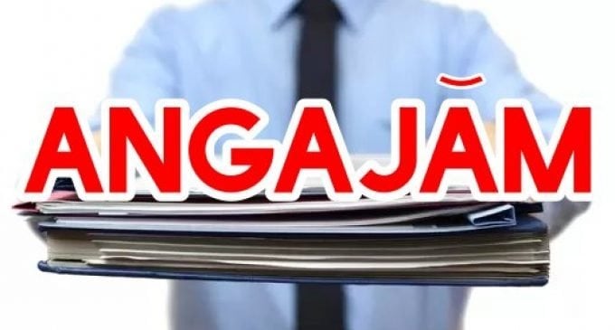 O firmă din România angajează curieri pe 3.600 de euro salariu