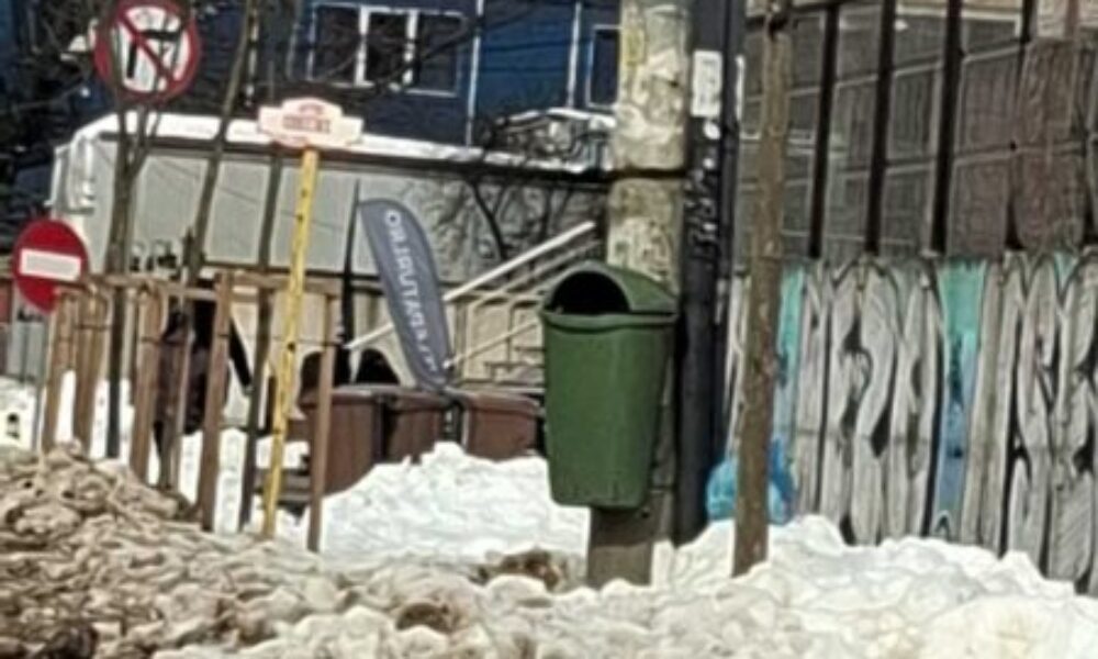 Sancțiuni în Sectorul 1. Romprest, taxată dur pentru străzile blocate de zăpadă
