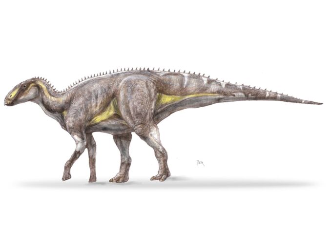 Specie nouă de dinozaur descoperită în Țara Hațegului. A trăit acum 70 de milioane de ani