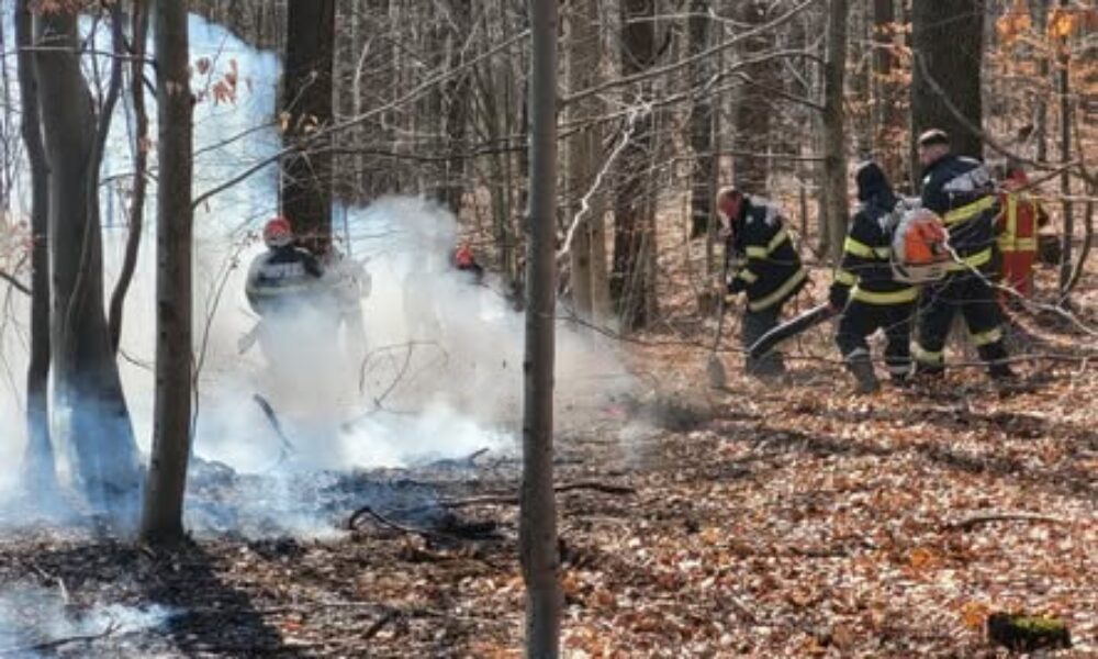 Incendiile de vegetație fac probleme în Maramureș în ultimele zile VIDEO