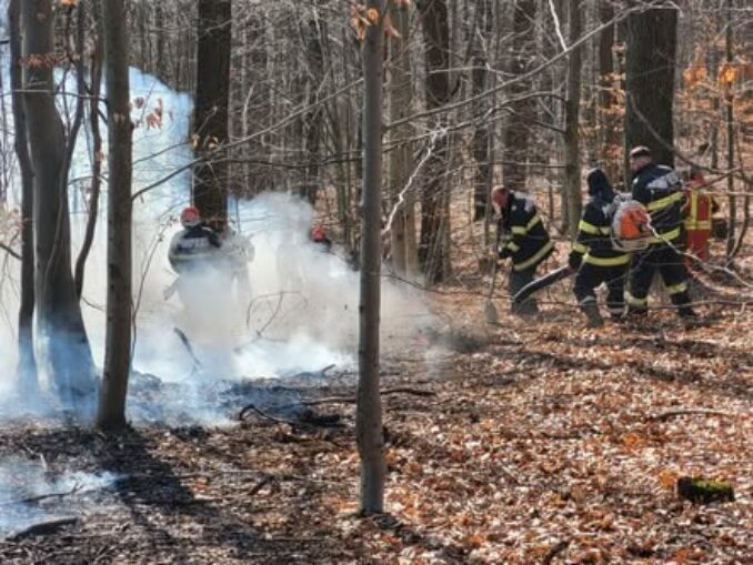 Incendiile de vegetație fac probleme în Maramureș în ultimele zile VIDEO