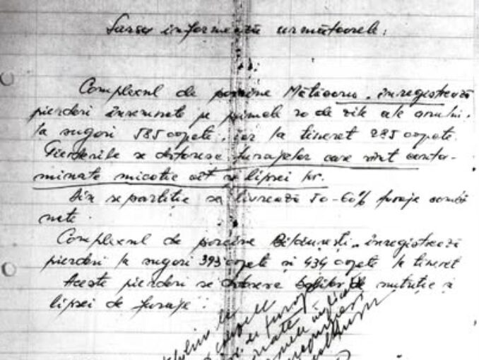 Porcul de o tonă – o „minune” a zootehniei comuniste DOCUMENT