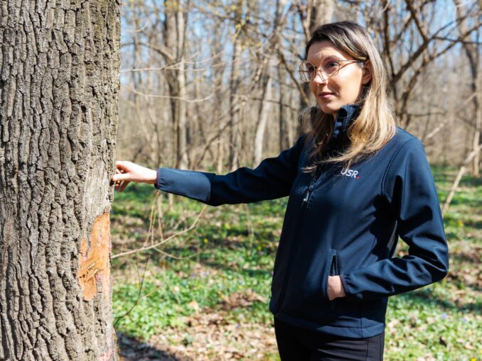 România și Republica Moldova vor planta o pădure comună. Când și unde va avea loc evenimentul