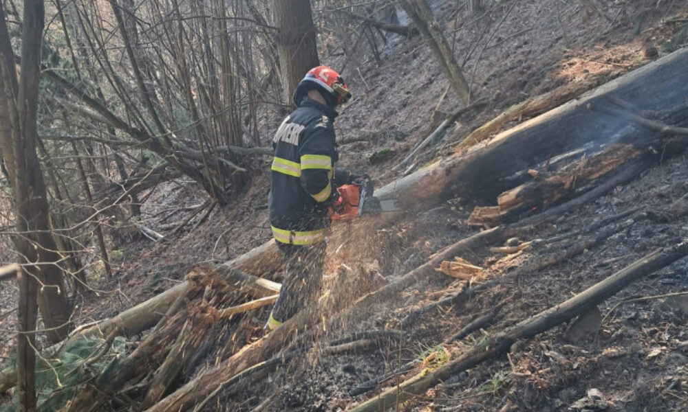 VIDEO Incendii de vegetație în Maramureș și Satu Mare