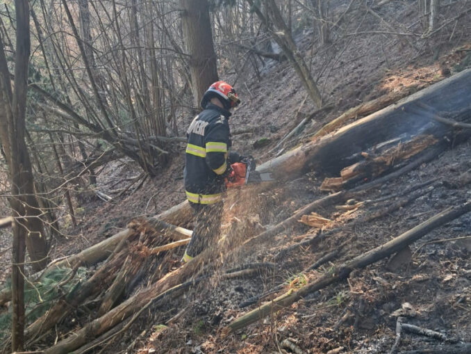 VIDEO Incendii de vegetație în Maramureș și Satu Mare