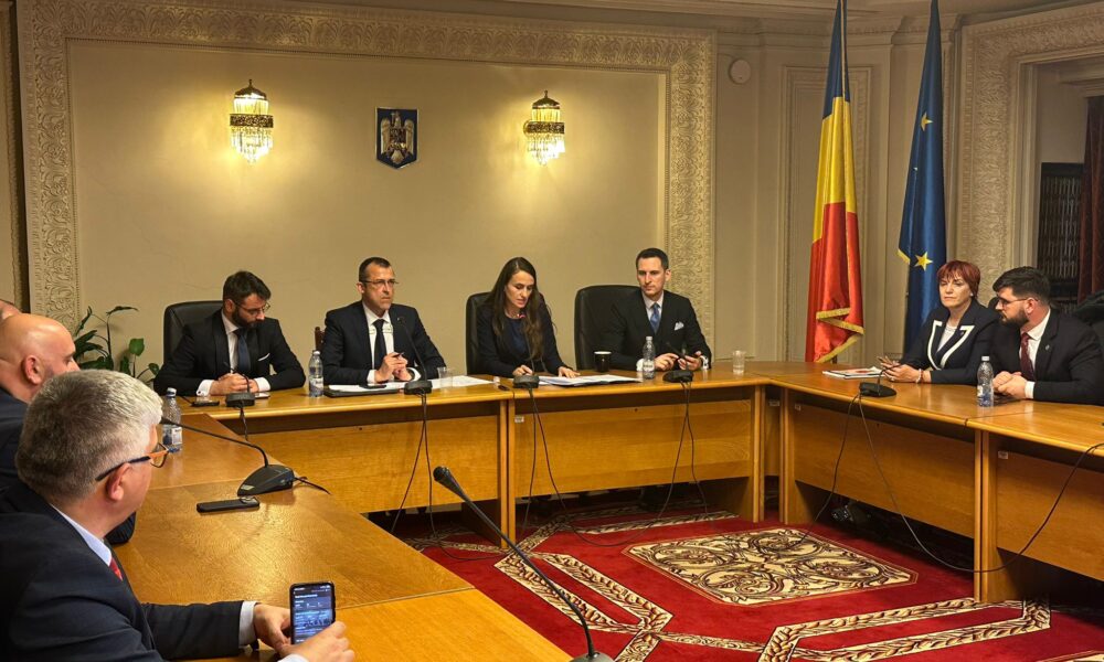 VIDEO „Ți-ai tăiat unghiile ca să vorbești cu noi?” Mârlănii și atacuri xenofobe la audierea Oanei Țoiu