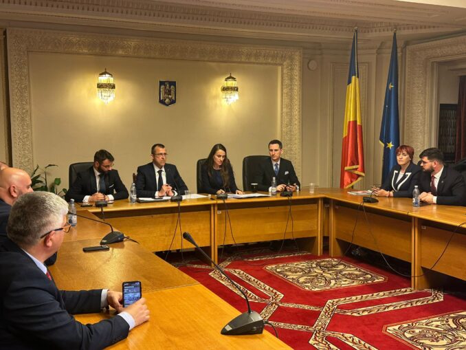 VIDEO „Ți-ai tăiat unghiile ca să vorbești cu noi?” Mârlănii și atacuri xenofobe la audierea Oanei Țoiu