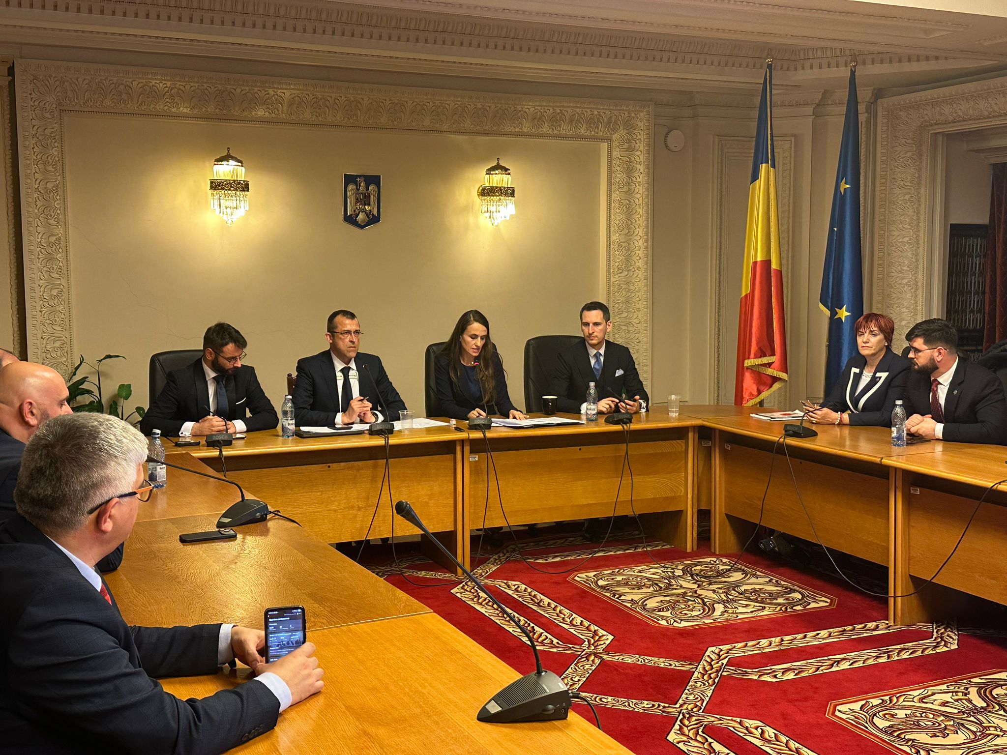 VIDEO „Ți-ai tăiat unghiile ca să vorbești cu noi?” Mârlănii și atacuri xenofobe la audierea Oanei Țoiu