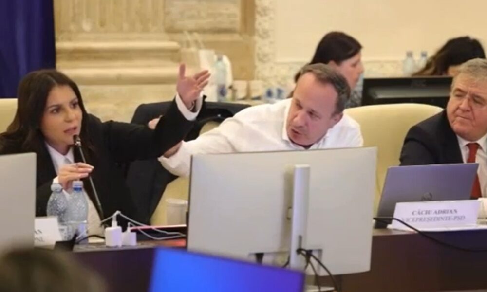 UPDATE PNL sesizează CNCD după ce Câciu a urlat și i-a dat peste mână unei senatoare liberale: „Mi-am cerut scuze”