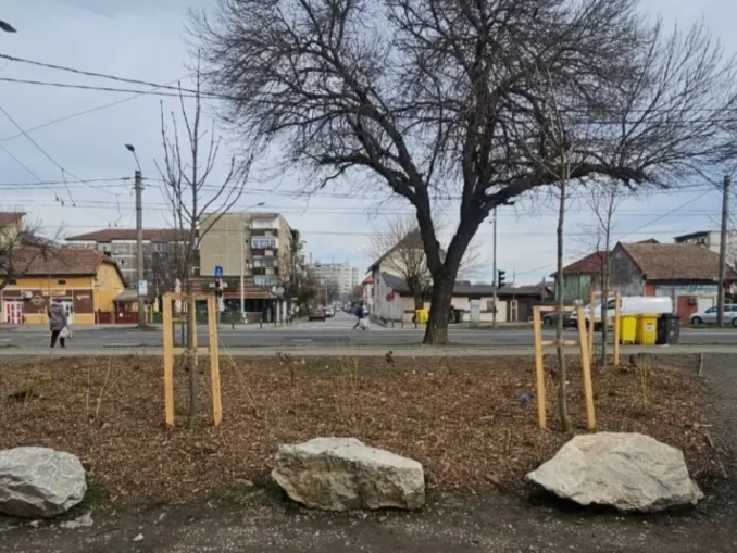 Bolovani de 100.000 lei în Timișoara. Decizia primăriei stârnește controverse