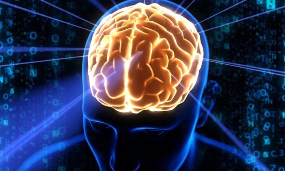 Studiu: Misterul longevității active, descifrat