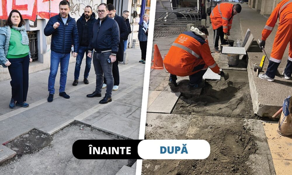 Ciucu scoate caşcarabetele din parcuri