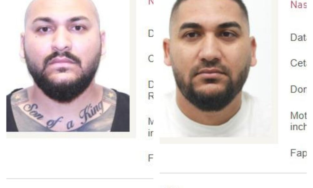 Fraţii Mocanu, condamnaţi la închisoare pentru tentativă de omor şi prinşi în Italia, aduşi în ţară