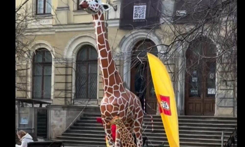 Girafa de la Antipa, simbolul muzeului, și-a găsit perechea