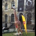 Girafa de la Antipa, simbolul muzeului, și-a găsit perechea
