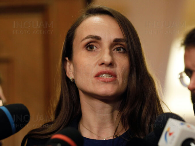 Țoiu, despre planul României pentru stabilitatea regională