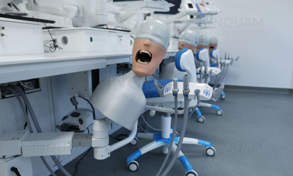Revoluție în stomatologie: Dinți regenerați în laborator și fără freze dentare