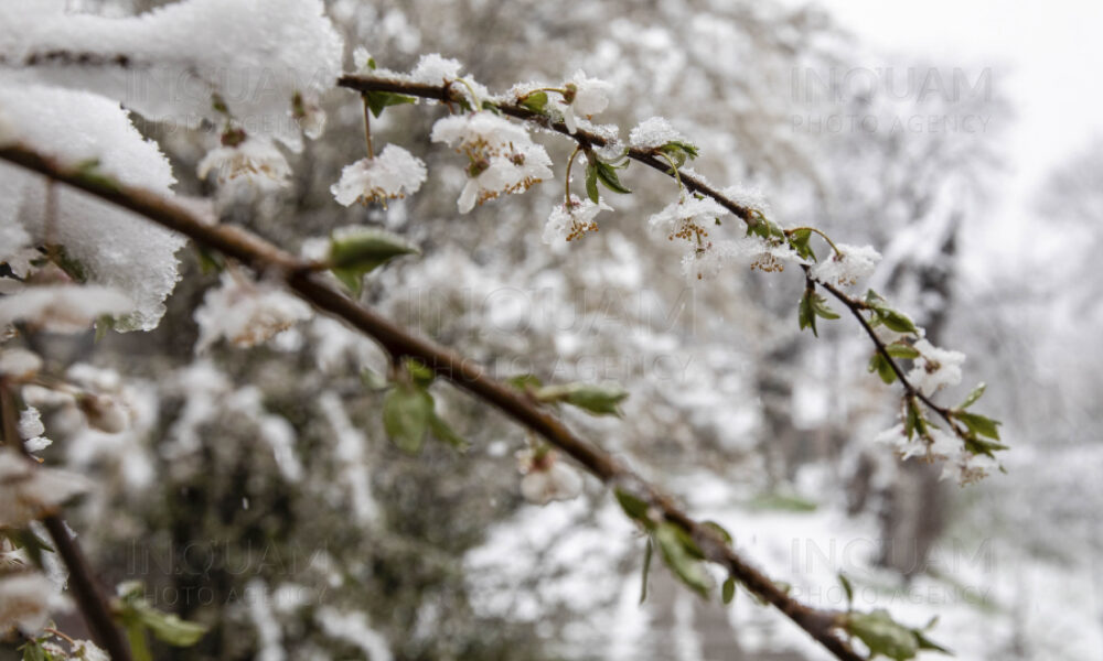 Vremea se răcește brusc: Aer arctic în toată țara