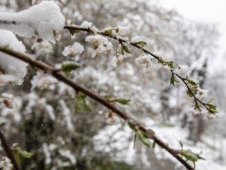 Slăbirea vortexului polar ar putea duce la scăderea temperaturilor în următoarele luni, în Europa. Specialist: „Efectul acesta este unul de lungă durată”