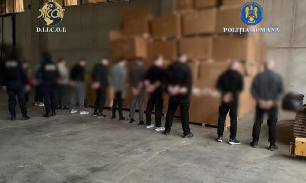 Captură record: Fabrică clandestină de tutun la marginea Timișoarei