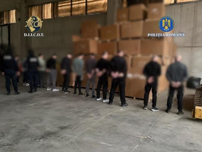 Captură record: Fabrică clandestină de tutun la marginea Timișoarei