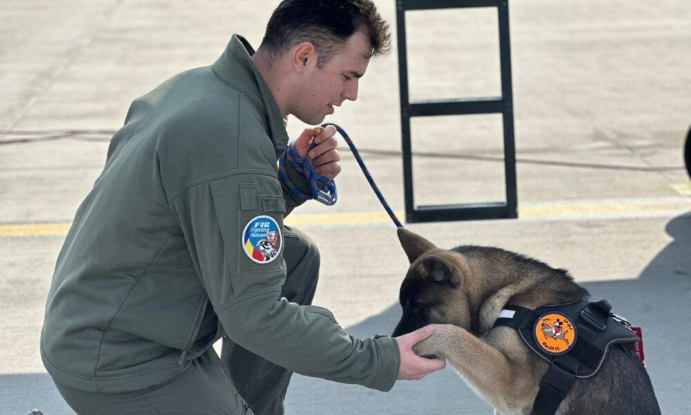 Un pilot militar român a murit în timp ce salva un câine