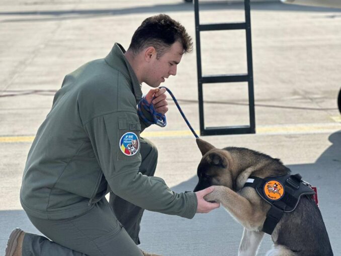 Un pilot militar român a murit în timp ce salva un câine
