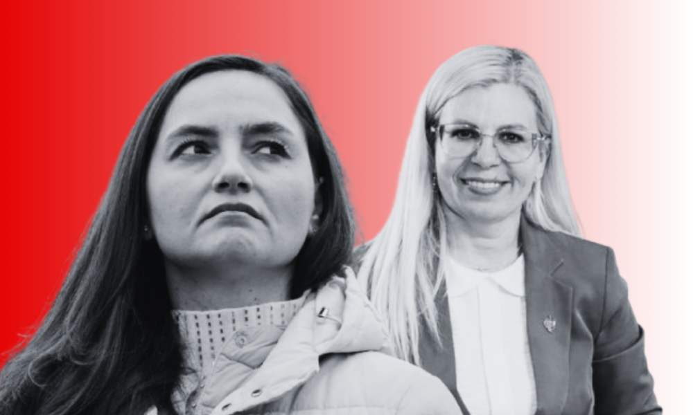 Circ pe banii publici. Anamaria Gavrilă, nou scandal în Parlament: „Stai în banca ta!”