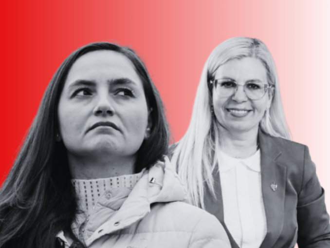 Circ pe banii publici. Anamaria Gavrilă, nou scandal în Parlament: „Stai în banca ta!”