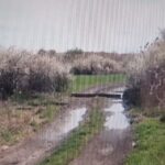 Jaf ca-n filme în Timiș: Au scos banii prin perete