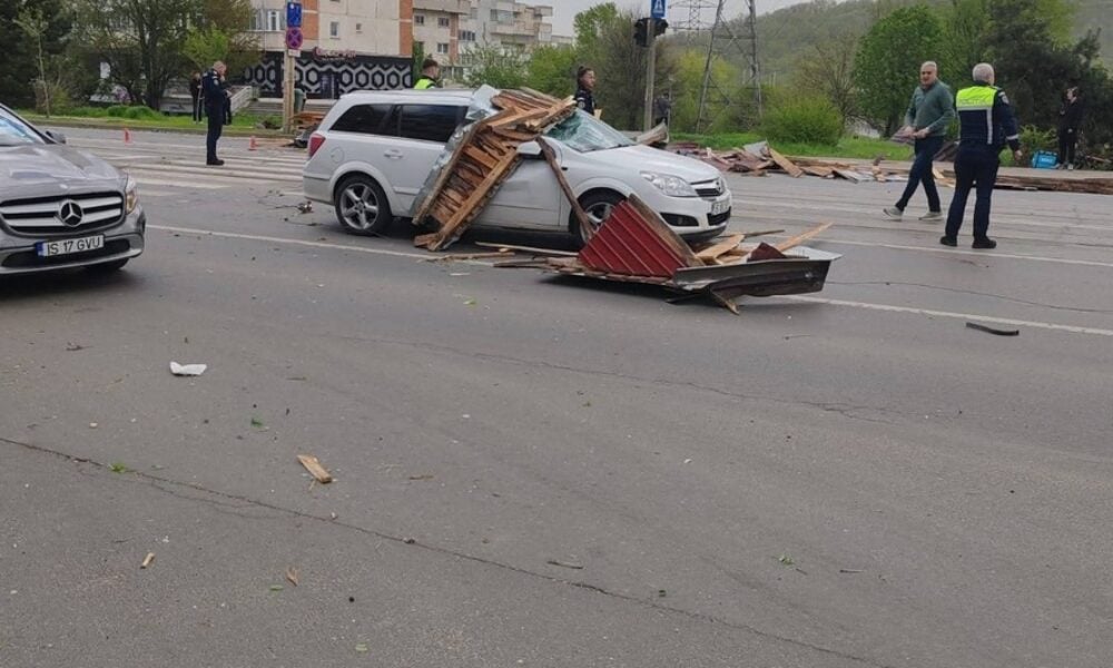 Urmările vijeliei din Iași: Copaci puși la pământ și persoane rănite