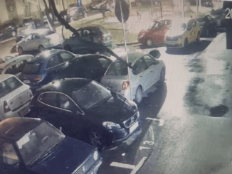 Trio de piromani. Trimiși în judecată pentru distrugere