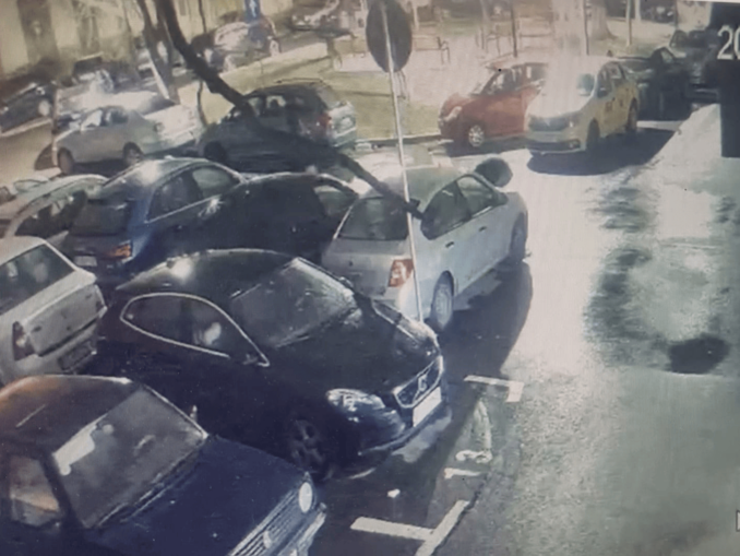 Trio de piromani. Trimiși în judecată pentru distrugere