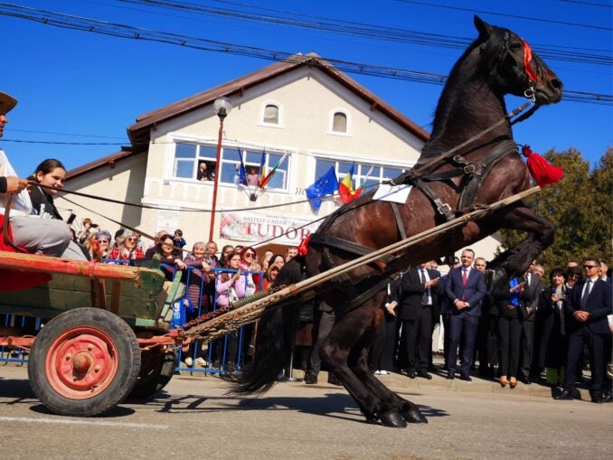 Paștele Cailor nu e doar o expresie. Chiar se sărbătorește