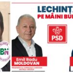 Frasinul, Radu Moldovan