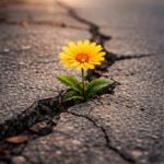 Bunătatea ca formă de rezistență