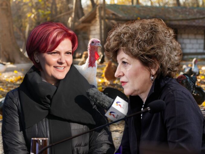 LOV și Oana Gheorghiu, ca PSD și Bolojan. Cotețul curcilor, subiect de ceartă în politică