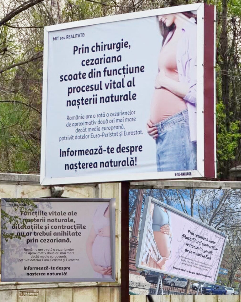 Fundație care promovează teorii ale conspirației, în spatele panourilor cu mesaje false anti-cezariană
