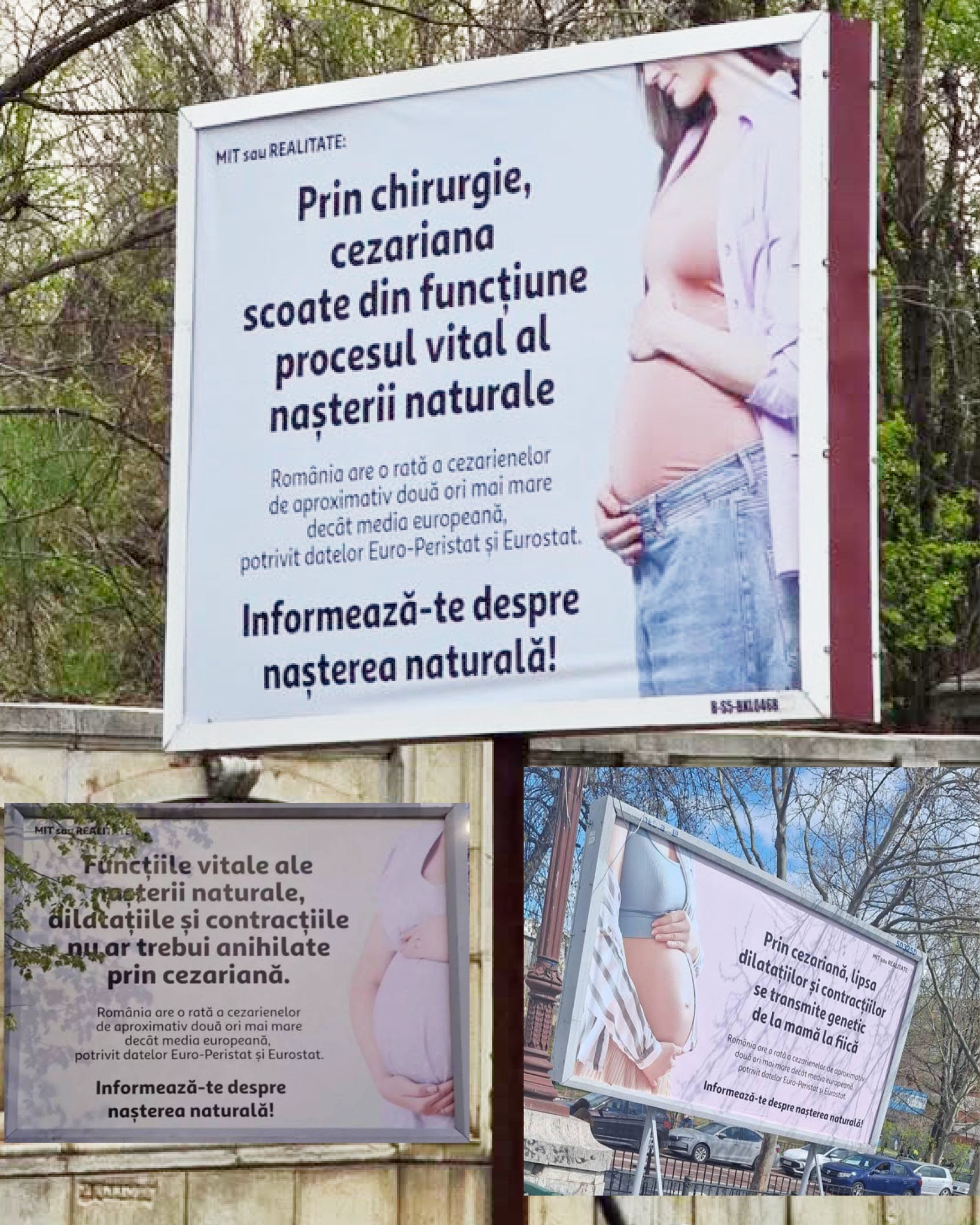 Fundație care promovează teorii ale conspirației, în spatele panourilor cu mesaje false anti-cezariană