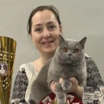 Kira Kiralina, cea mai frumoasa pisica, Iasi, pisici, pisici românia, cele mai frumoase pisici din lume