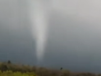 VIDEO Tornadă filmată în județul Mureș