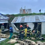 accident Năvodari, camion oi răsturnat, DSVSA Constanța