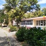 De la „cutia de chibrituri”, la papucii de musafir. Cum se vede Paștele prin ochii studenților