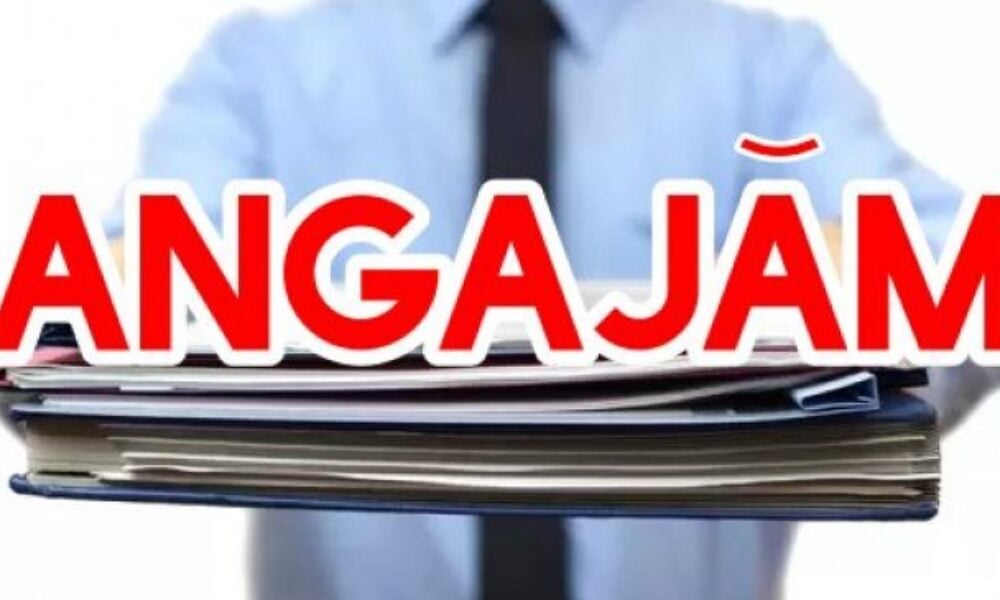 Angajări acum în România – „se bat” firmele pe necalificați, șoferi și curieri