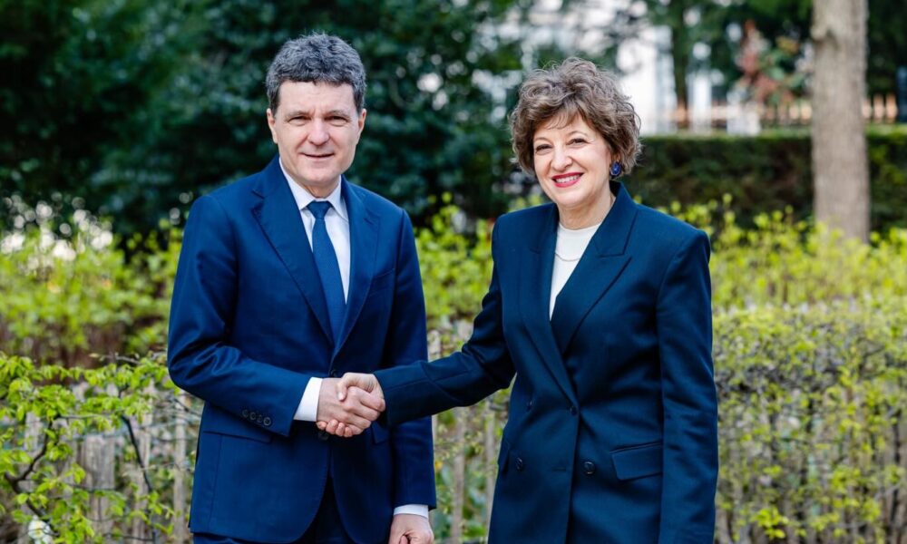 Firmele de stat și guvernul, ca la piață