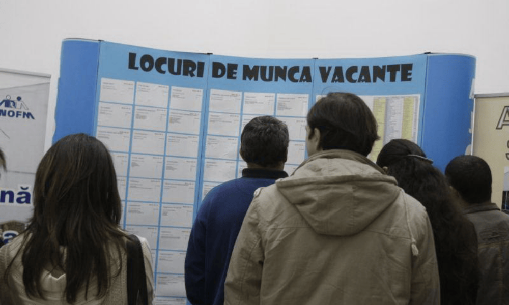 Declin pe piața muncii: Rata de ocupare scade la 63% în 2025