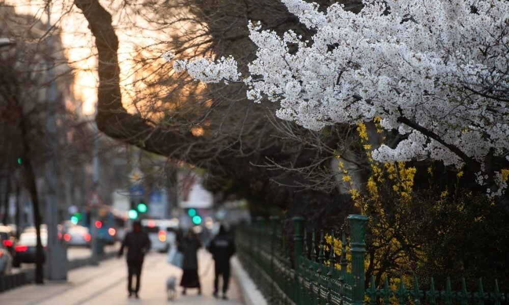 ANM: Temperaturi peste cele obişnuite în această perioadă, pe tot parcursul lunii mai